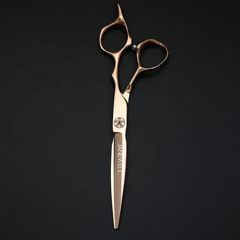 Professional Japanese VG10 Silver hair salon shears r12-60 with hair scissors, 6 inch for barbers and salon hairdressing. - view 1