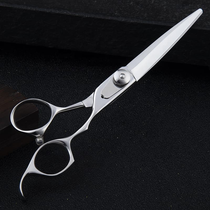 Professional VG10 Japanese steel silver hair salon shears with classic design, 6.0 inch hair cutting shears for hairdressers and salon stylists. - view 1